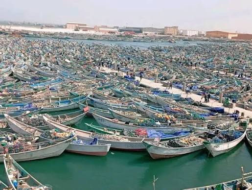 وزارة الصيد تحدد مواعيد استئناف أنشطة الصيد بعد تمديد التوقيف البيولوجي