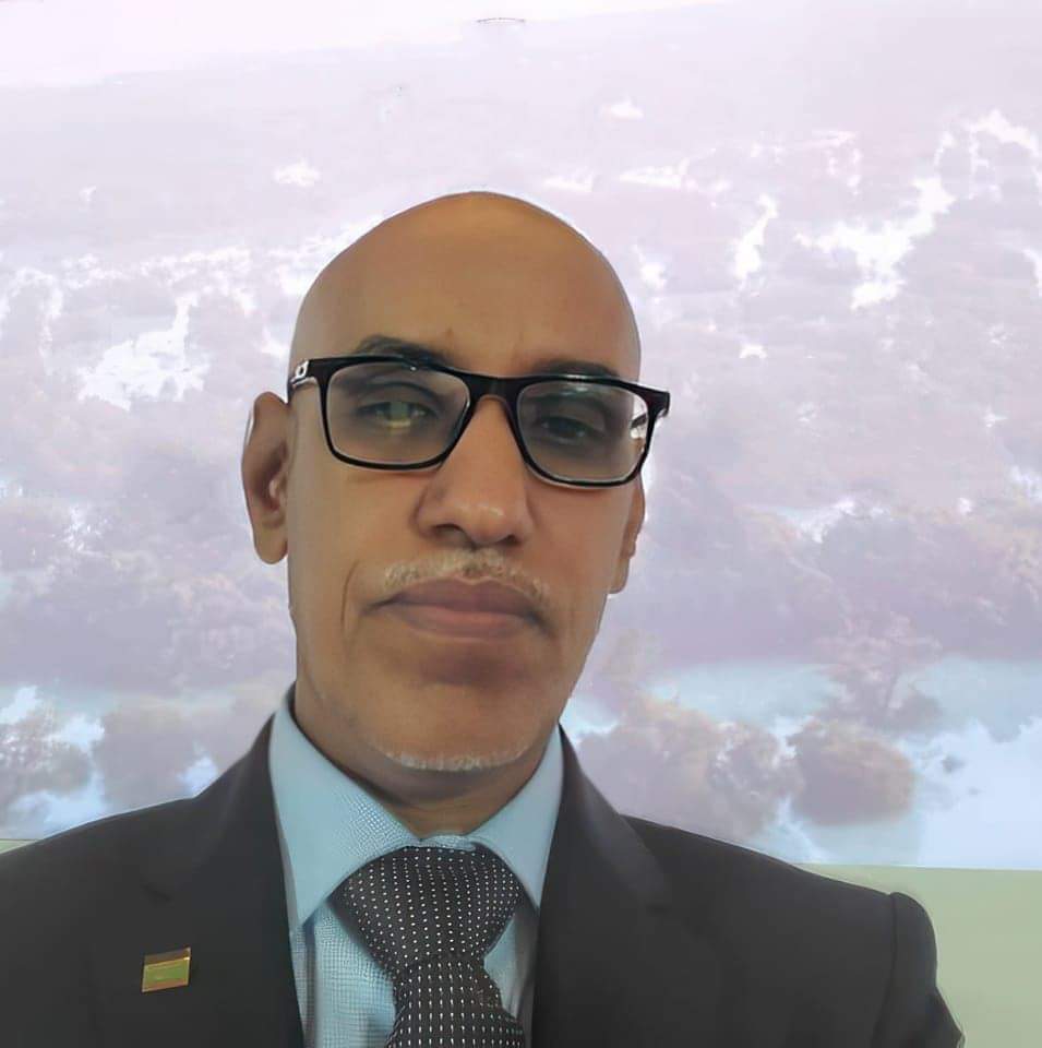 بقلم: الدكتور محمد محمود ولد سيد يحي