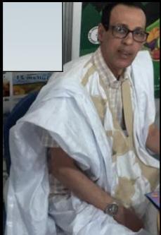 محمد الأمين لحويج