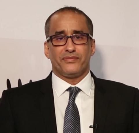 محمد المنير - ‏‎دكتور في العلوم السياسية ‏‎موظف دولي سابق في الأمم المتحدة