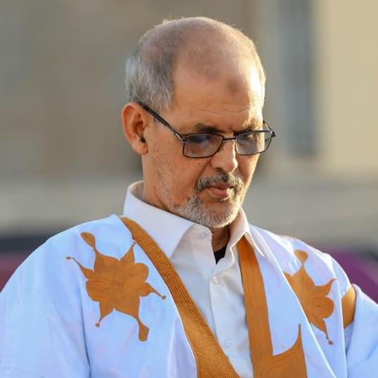 أحمدو سيدي محمد الكصري - باحث في الشأن العام