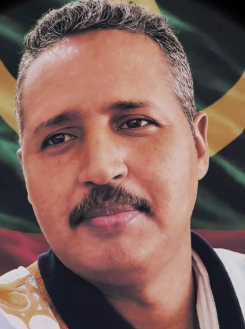 محمد سالم ولد لكبار 