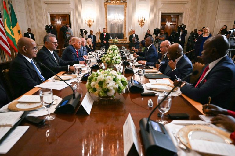 الرؤساء الأفارقة خلال اجتماعهم مع ترامب في البيت الأبيض (الفرنسية)